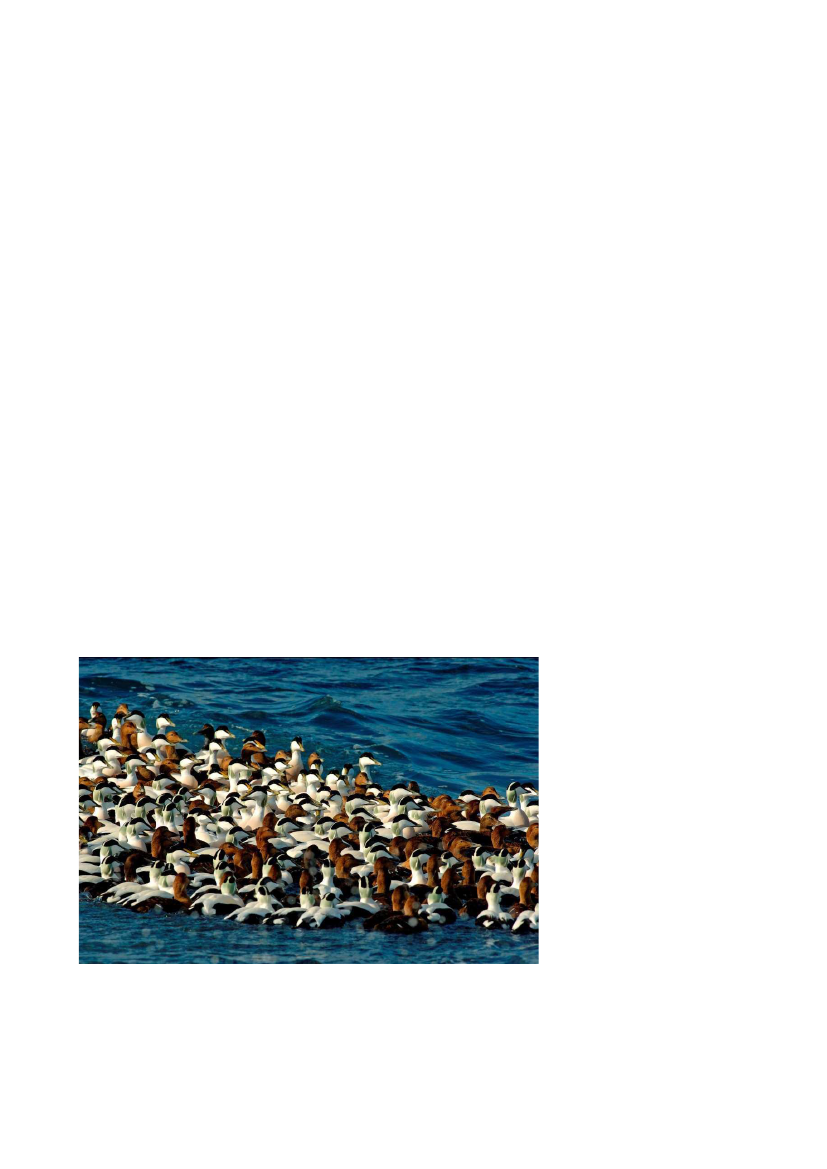 2399621_0001.png