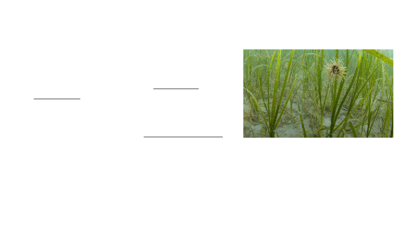 2403667_0003.png
