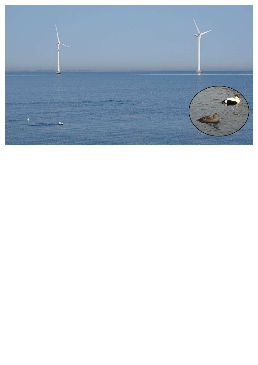 2405186_0001.png