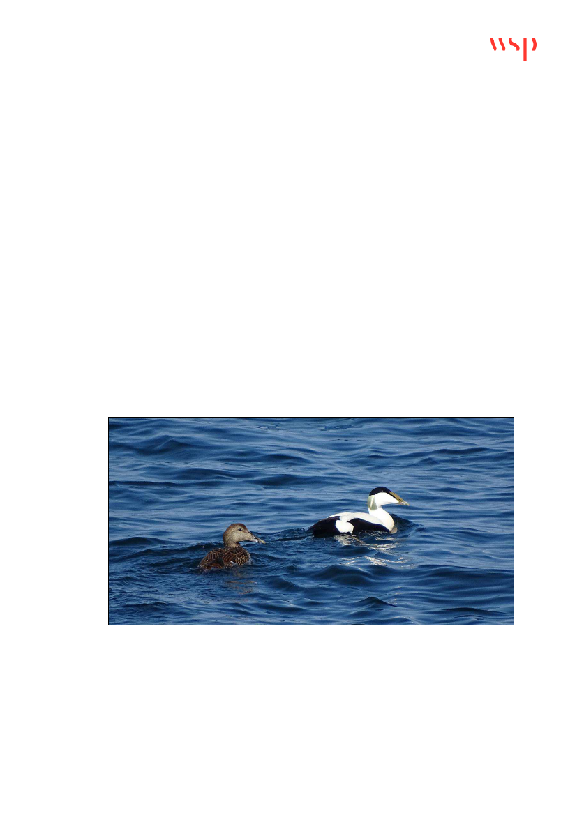2405186_0006.png