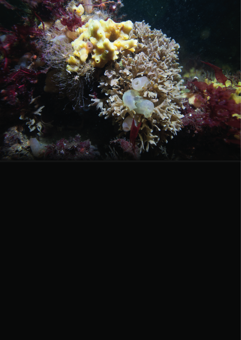 2410930_0007.png