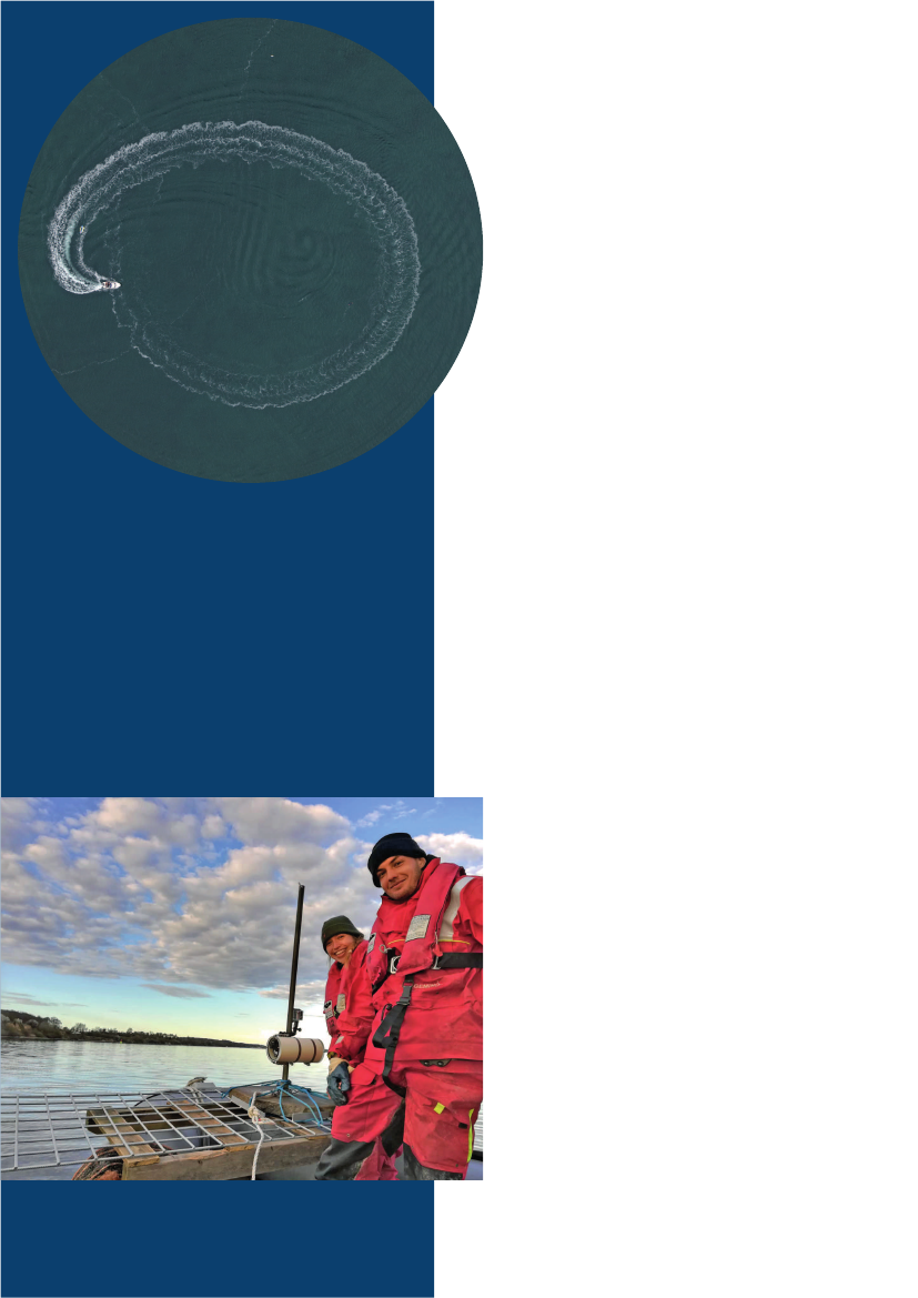 2410930_0016.png