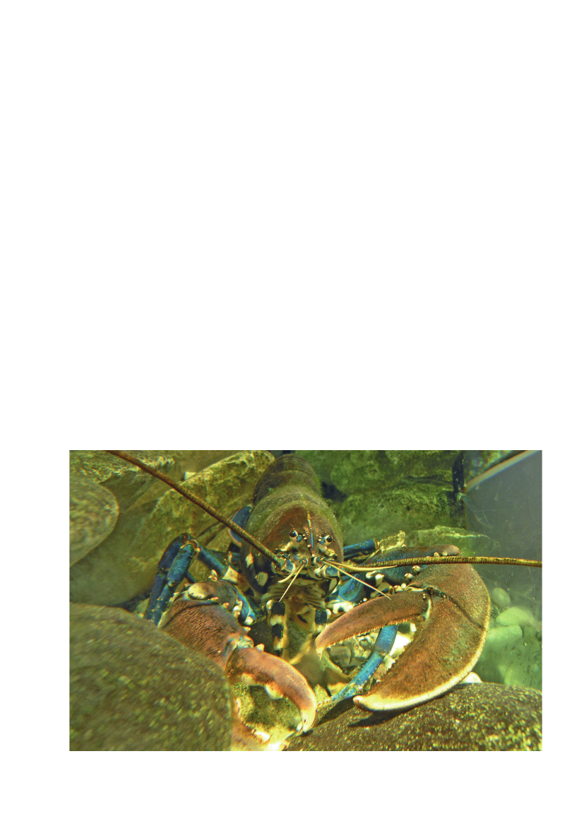 2410930_0021.png