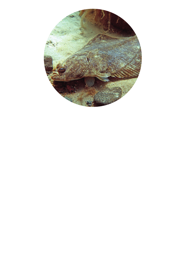 2410930_0024.png