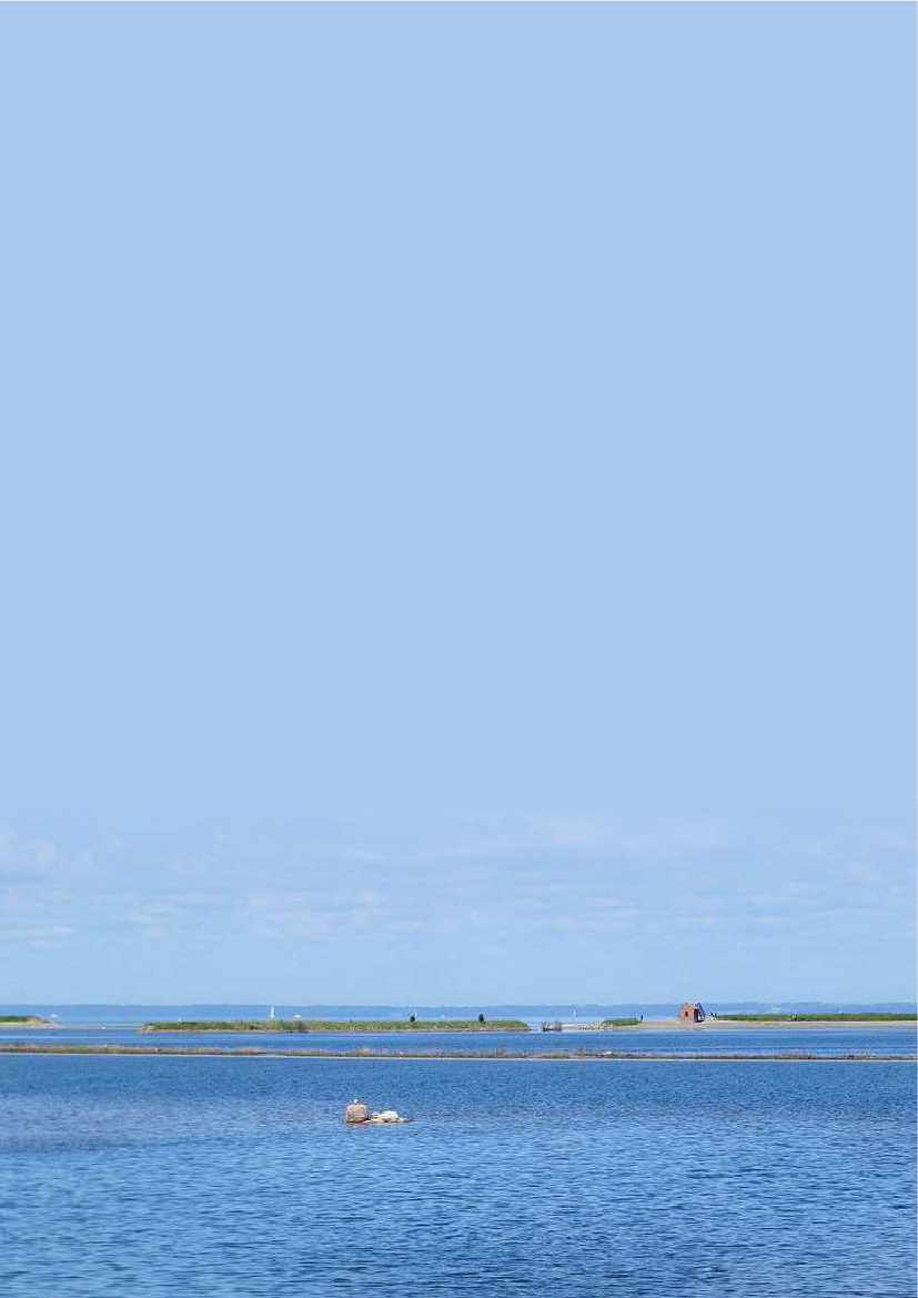 2410930_0025.png