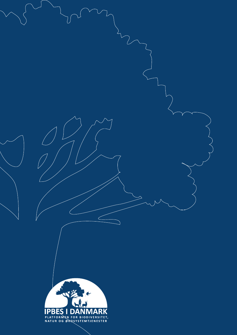 2410930_0030.png