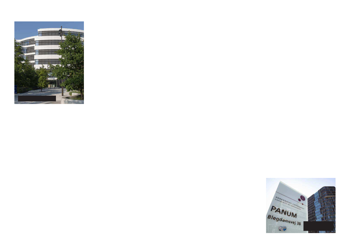 2420596_0031.png