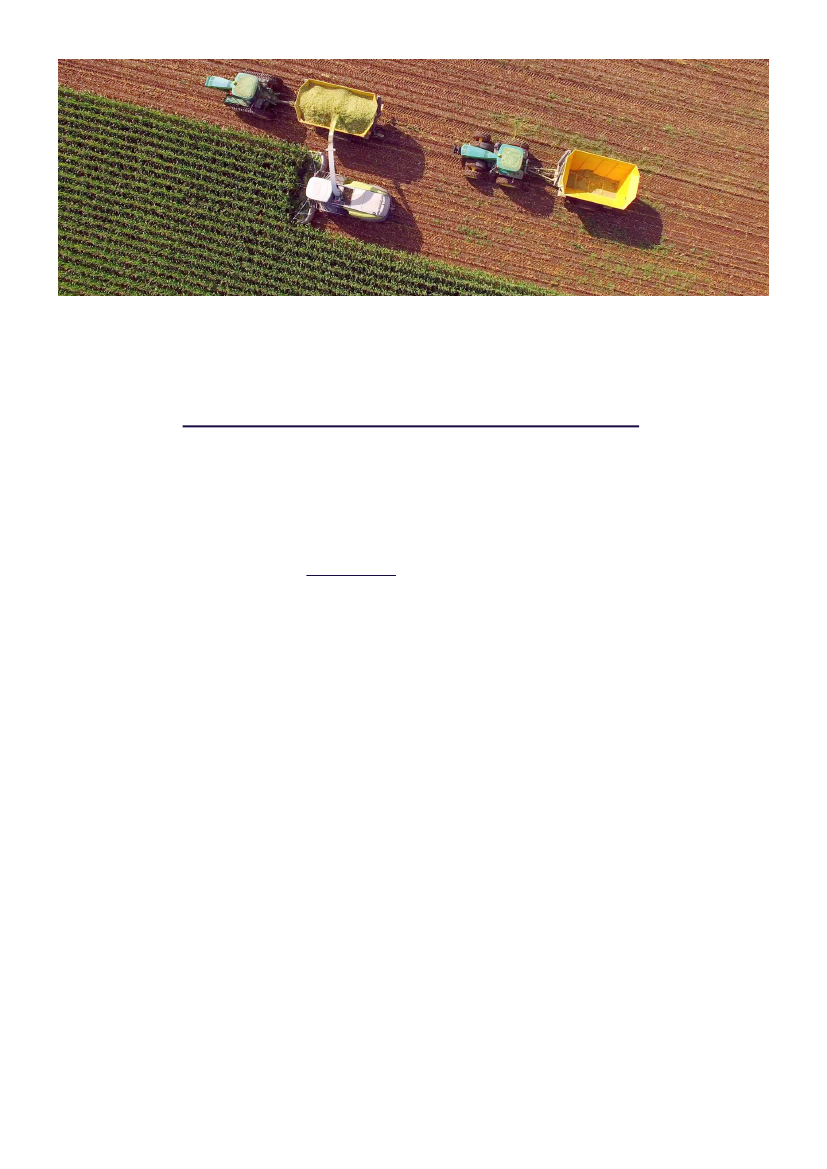 2429165_0030.png