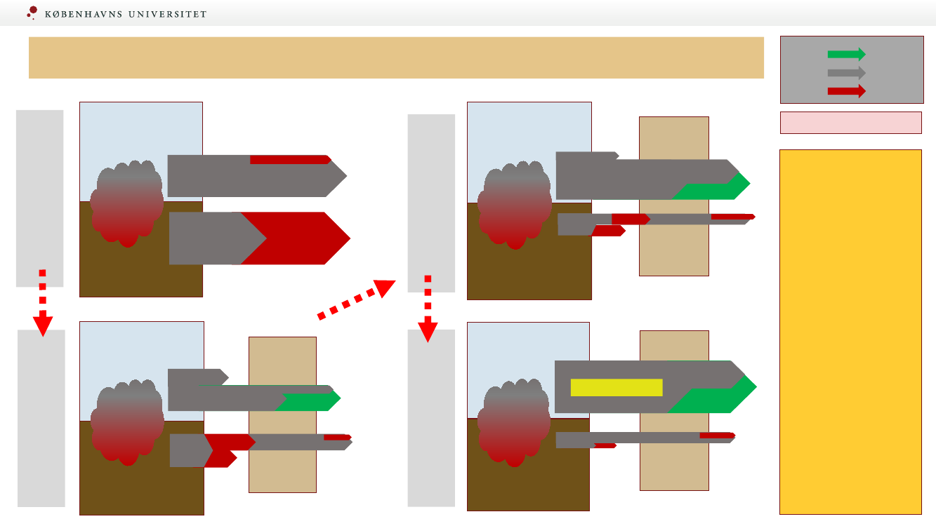 2439945_0003.png