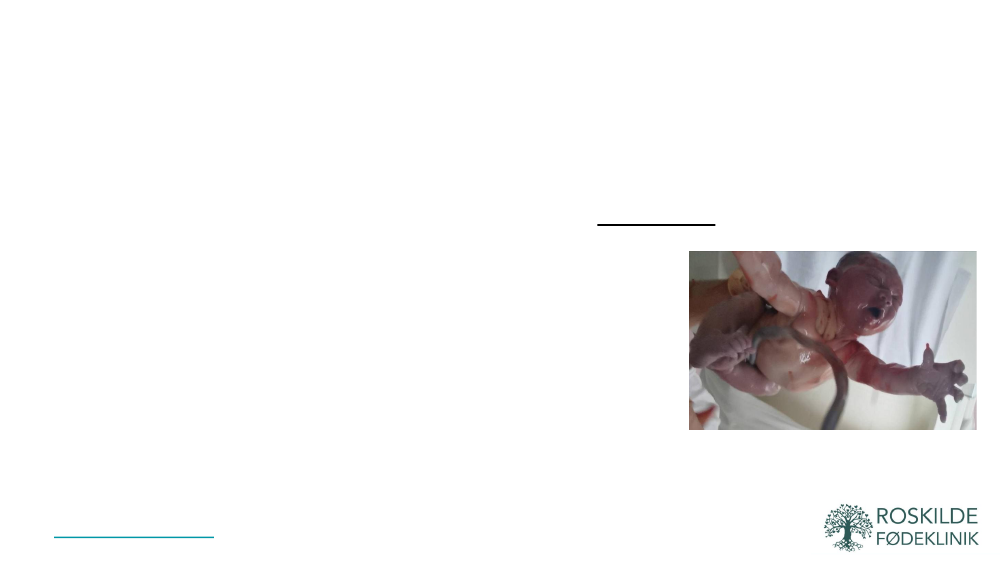 2479579_0005.png