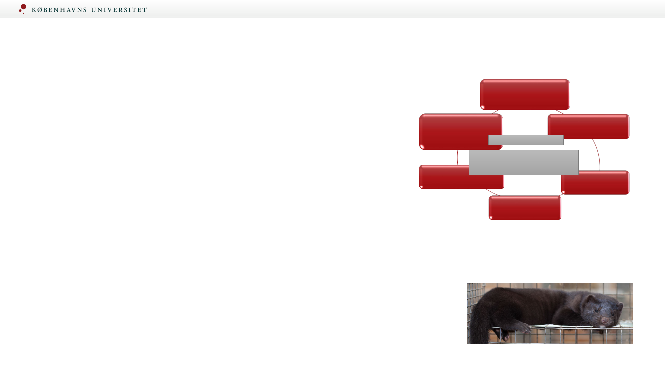2492521_0005.png
