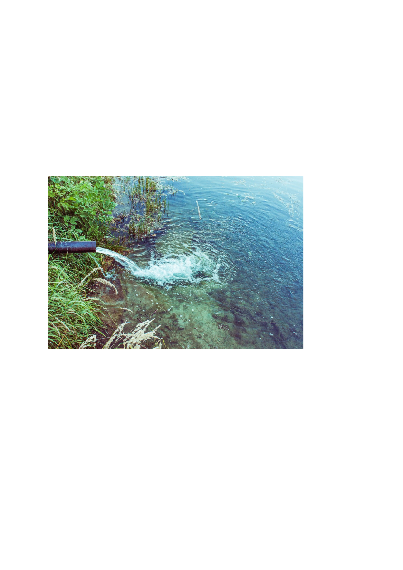 2504554_0019.png