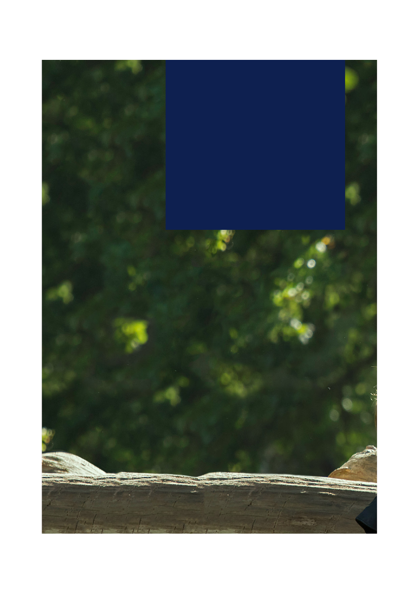 2506836_0136.png