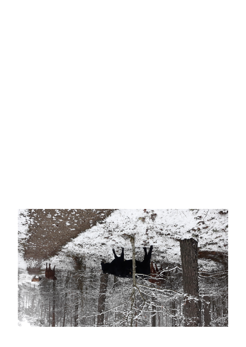 2508921_0001.png