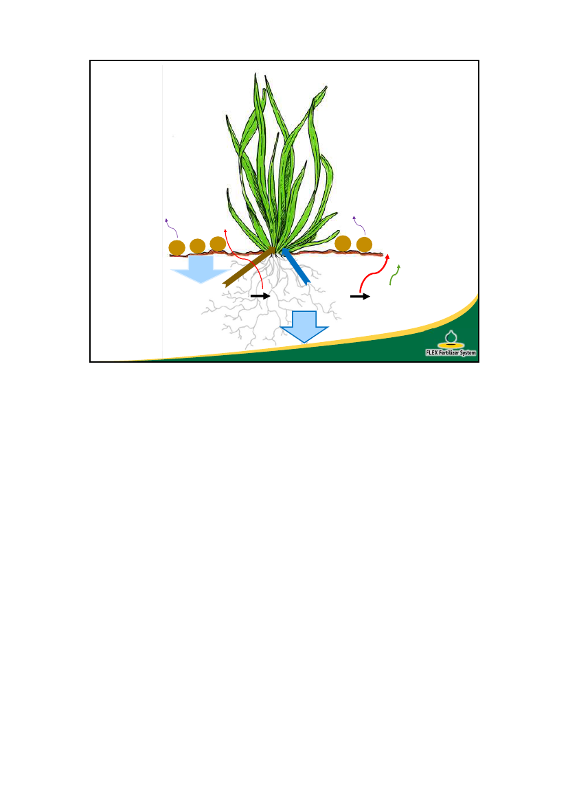 2510104_0002.png