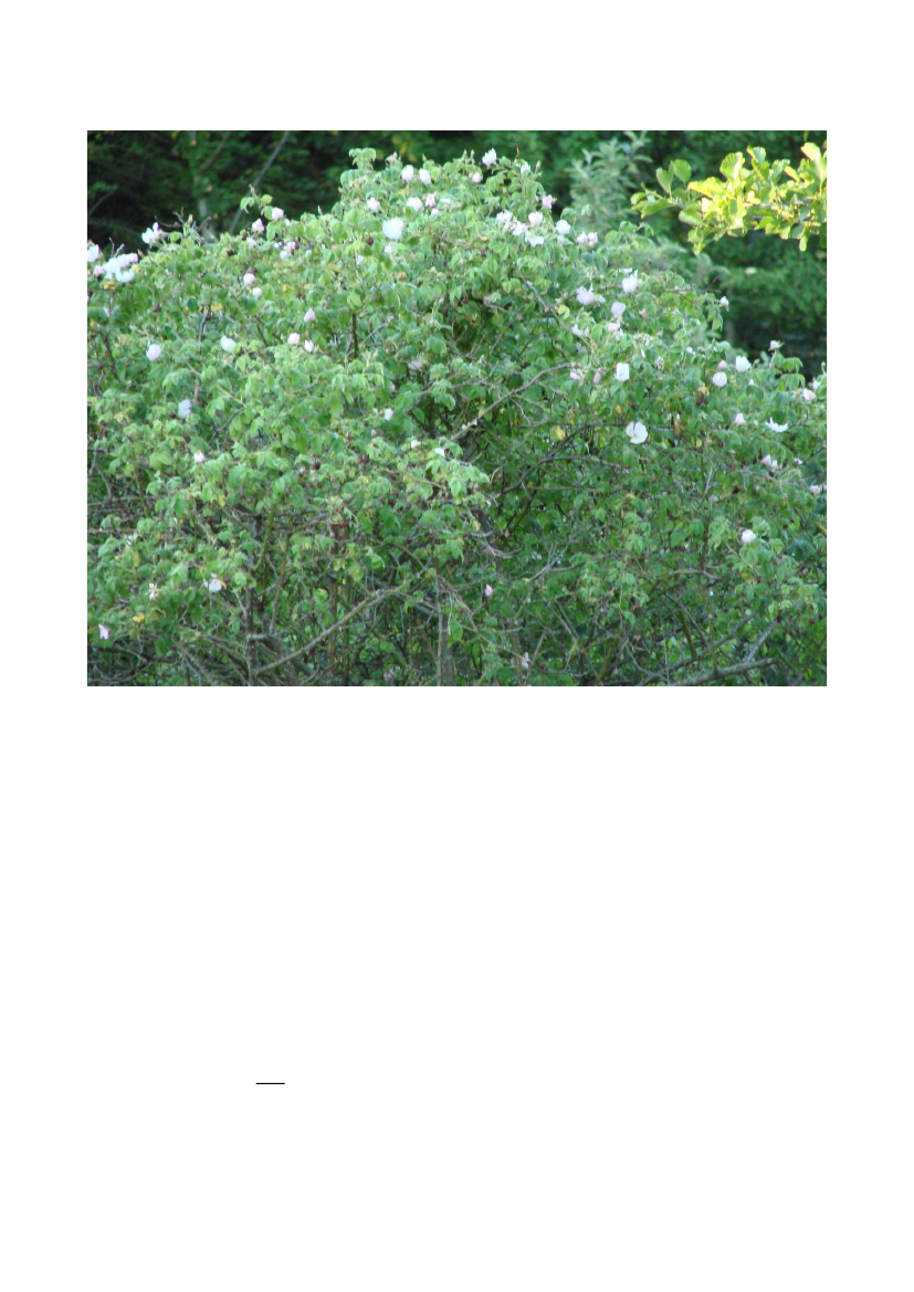 2517593_0024.png