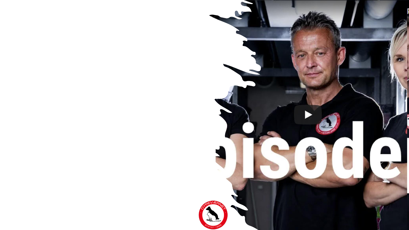 2523780_0005.png