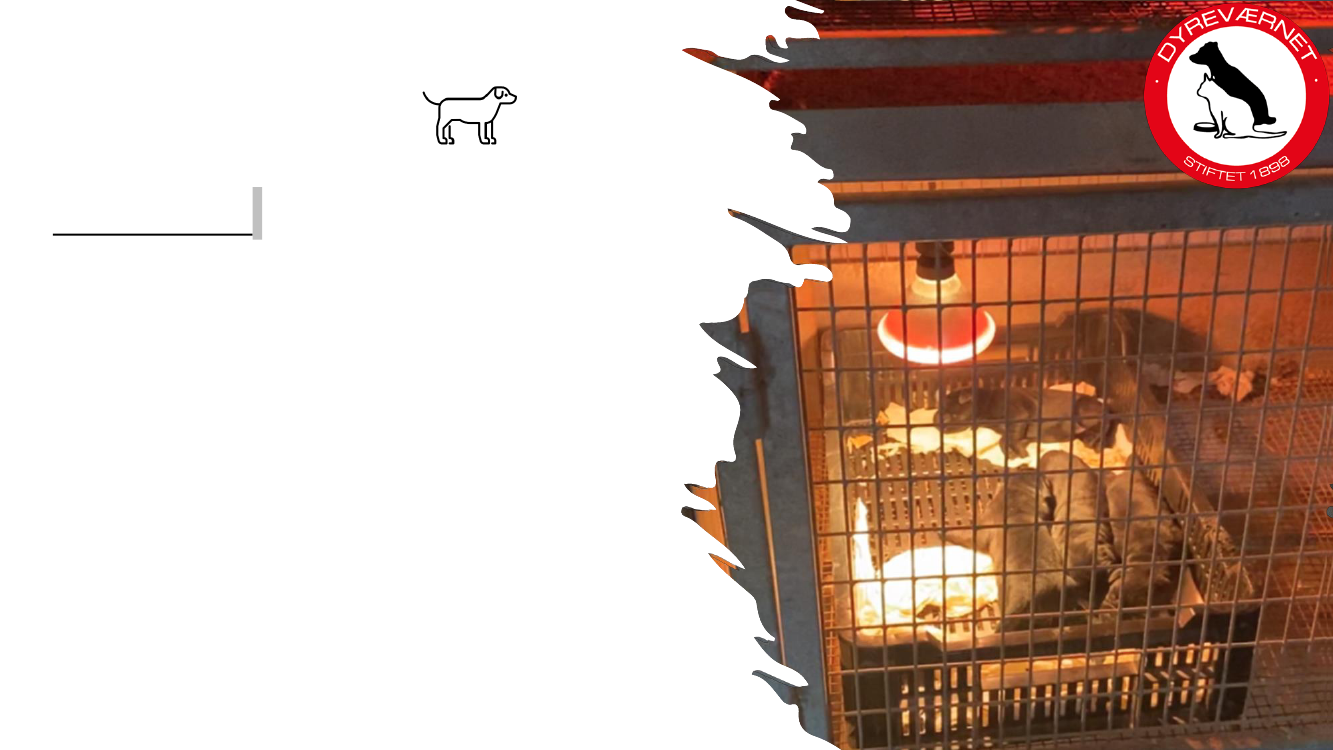 2523780_0006.png