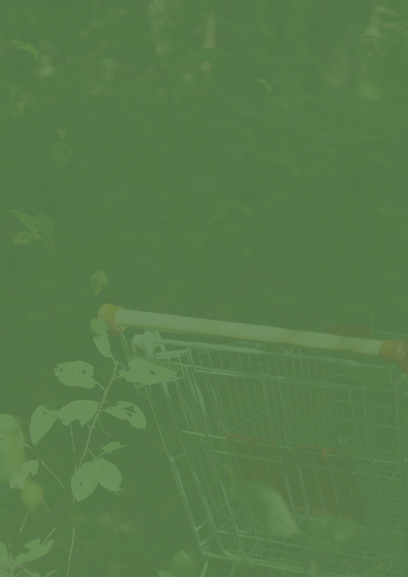 2527378_0023.png