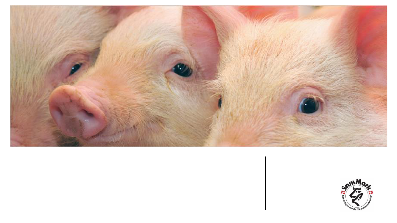 2532806_0001.png