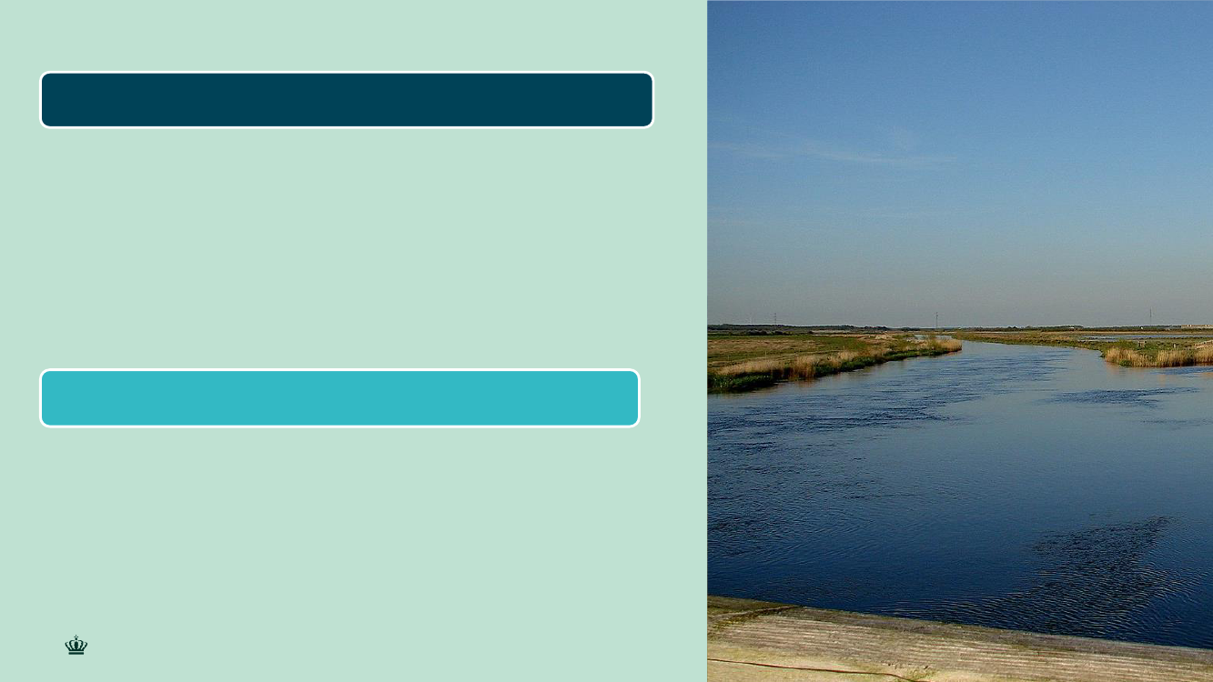 2532977_0005.png