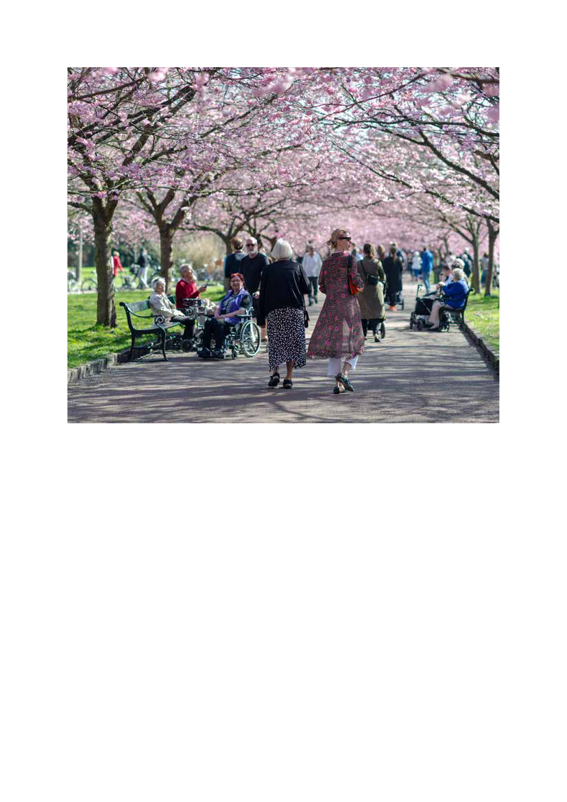2540891_0045.png