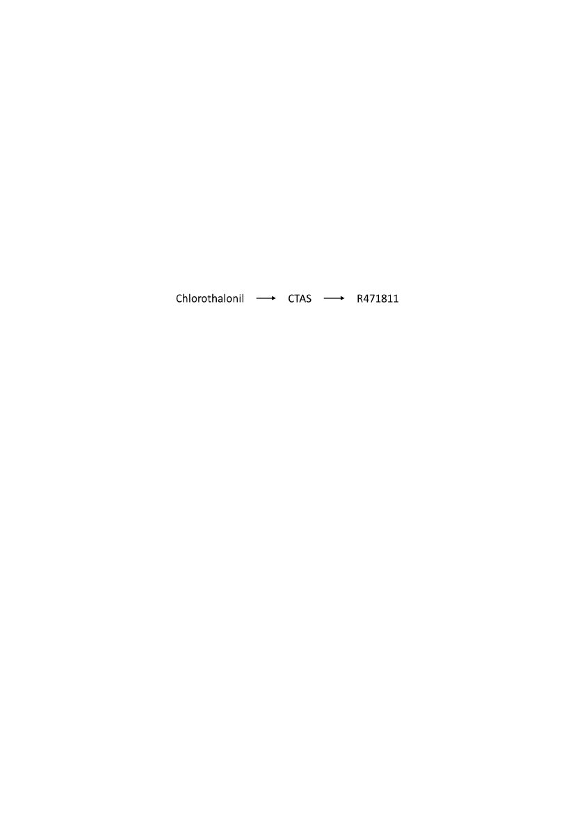 2541000_0004.png