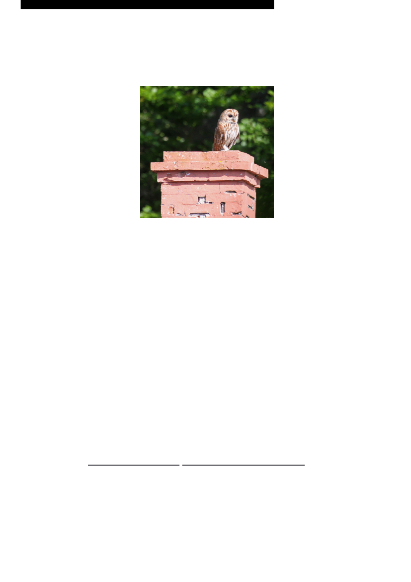 2541300_0006.png