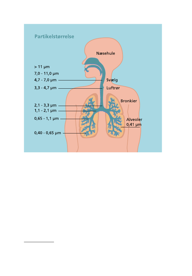 2541300_0160.png