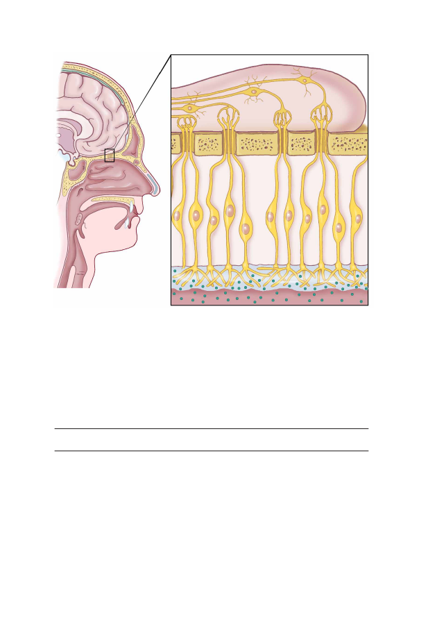 2541300_0164.png