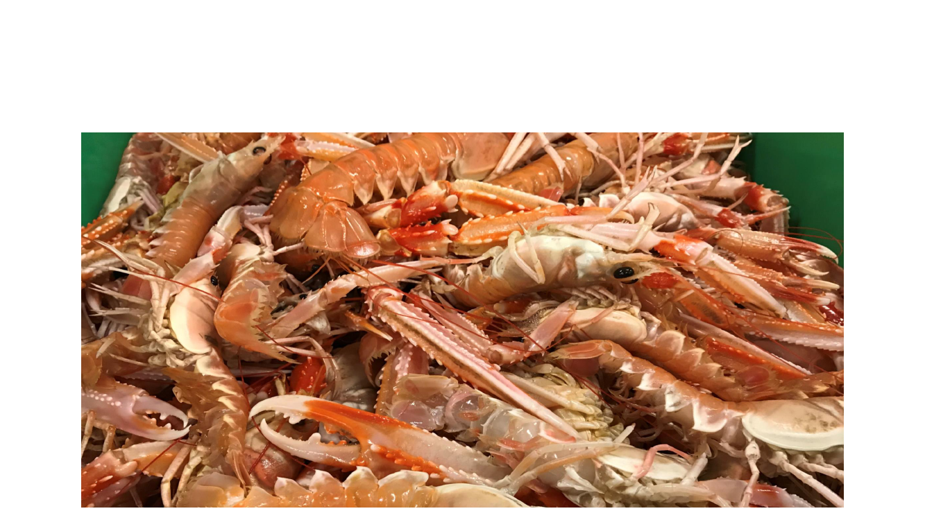 2548788_0001.png