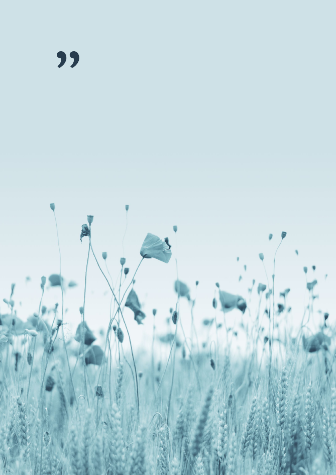 2552786_0010.png