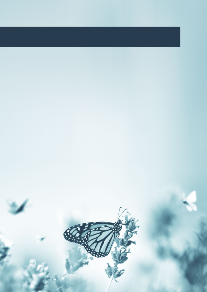 2552786_0014.png
