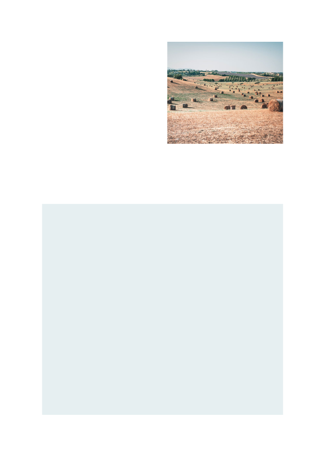 2552786_0023.png