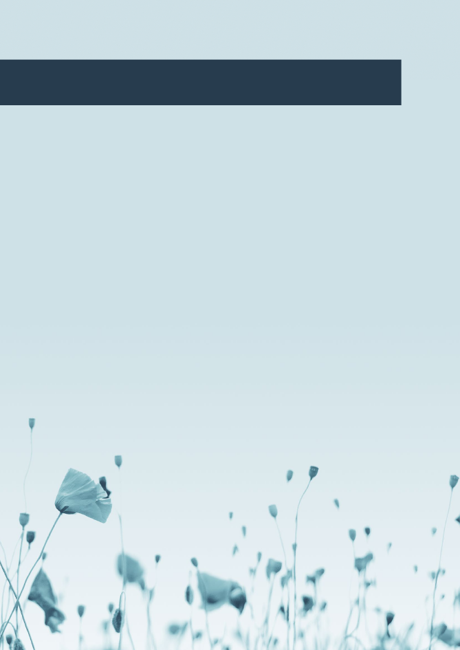 2552786_0042.png