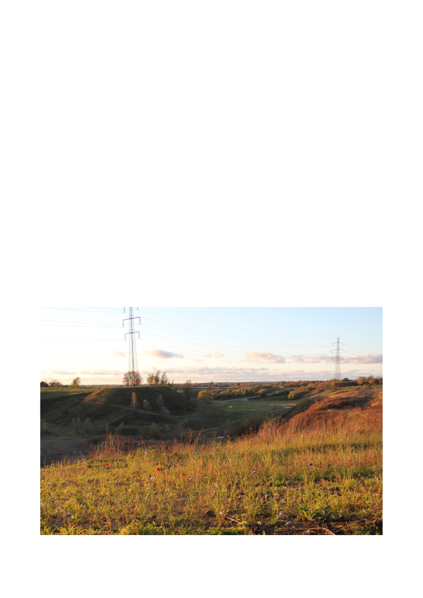 2559491_0061.png