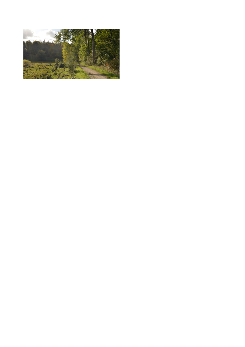 2559492_0007.png