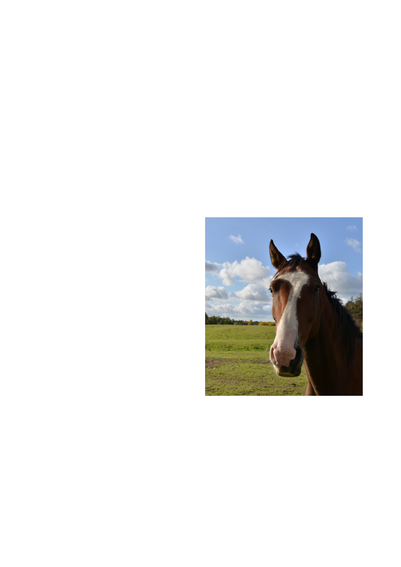 2559492_0010.png