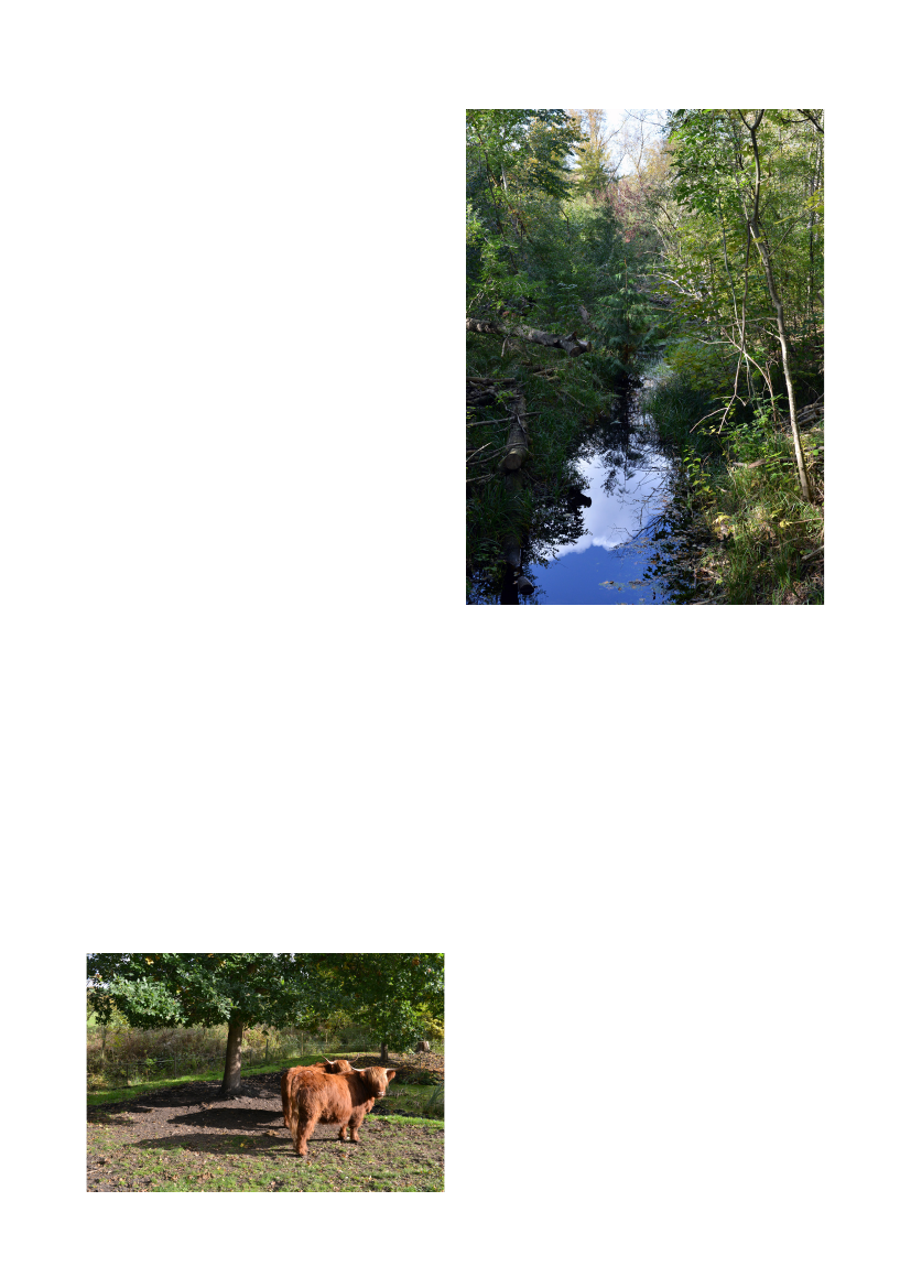 2559492_0015.png