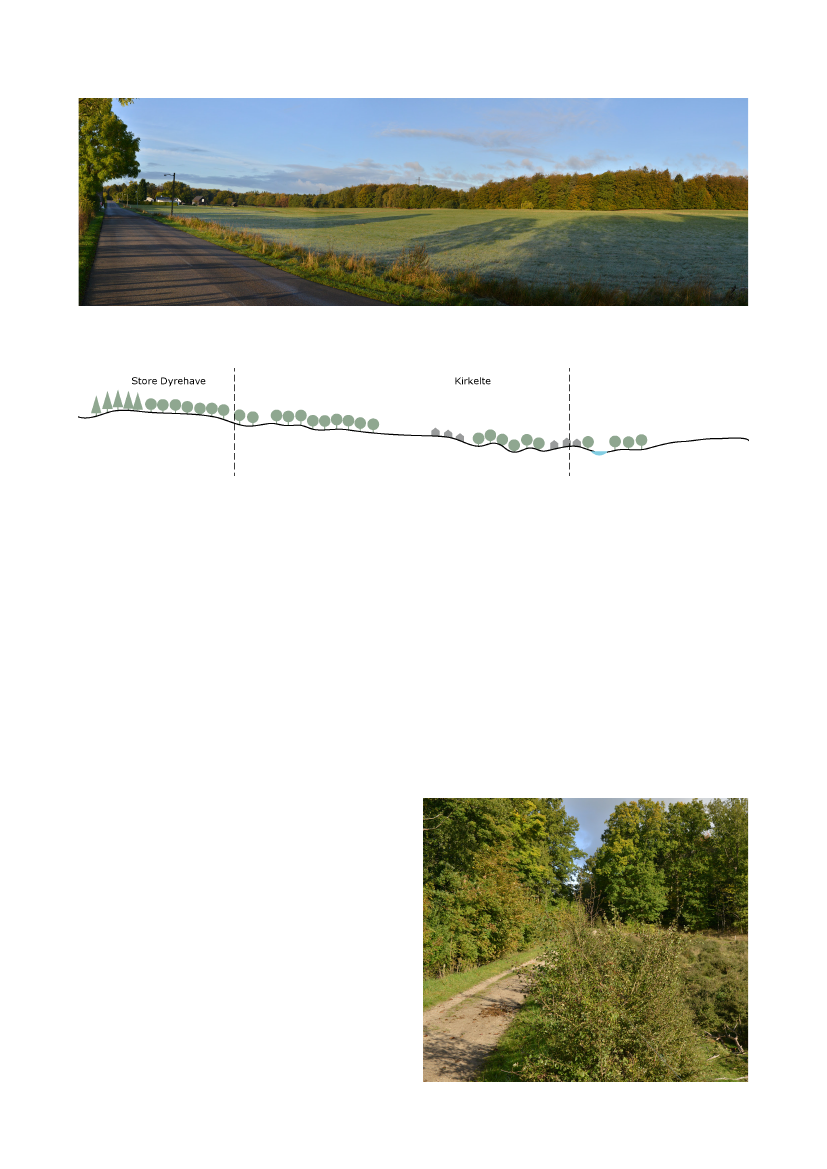 2559492_0023.png