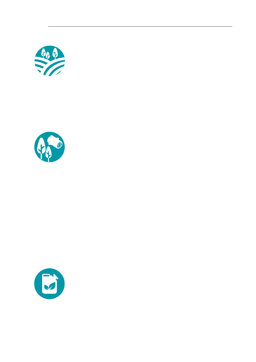 2566433_0005.png