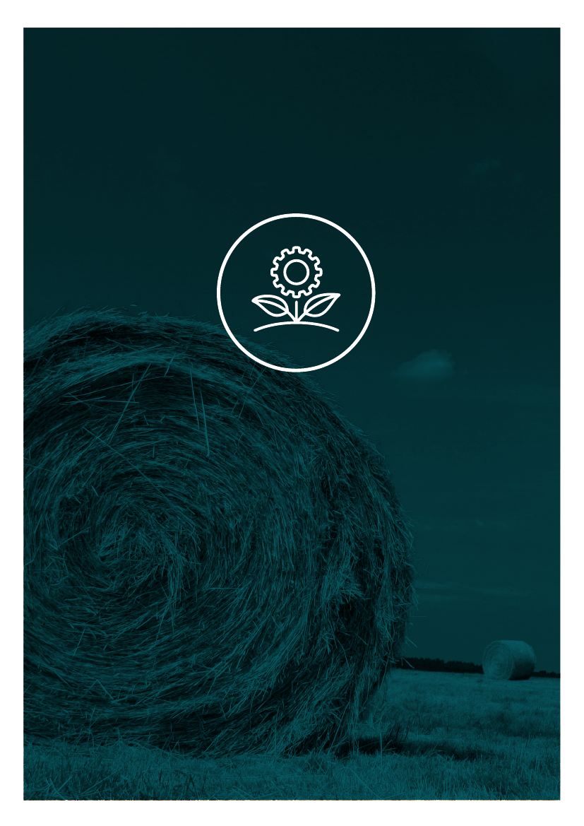 2566434_0018.png