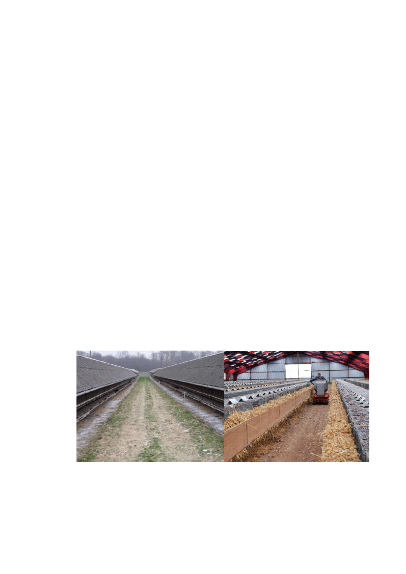 2570965_0014.png