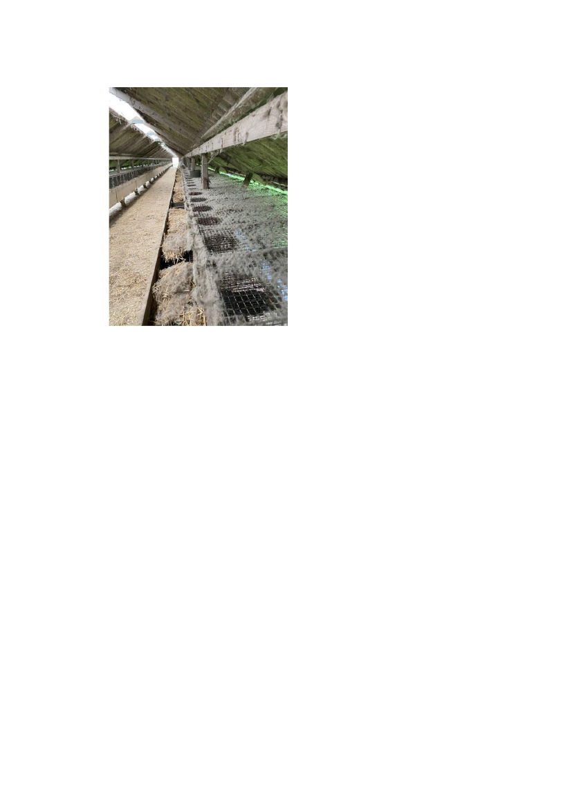 2570965_0016.png