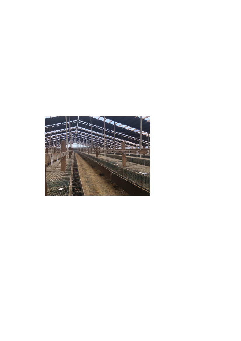 2570965_0018.png