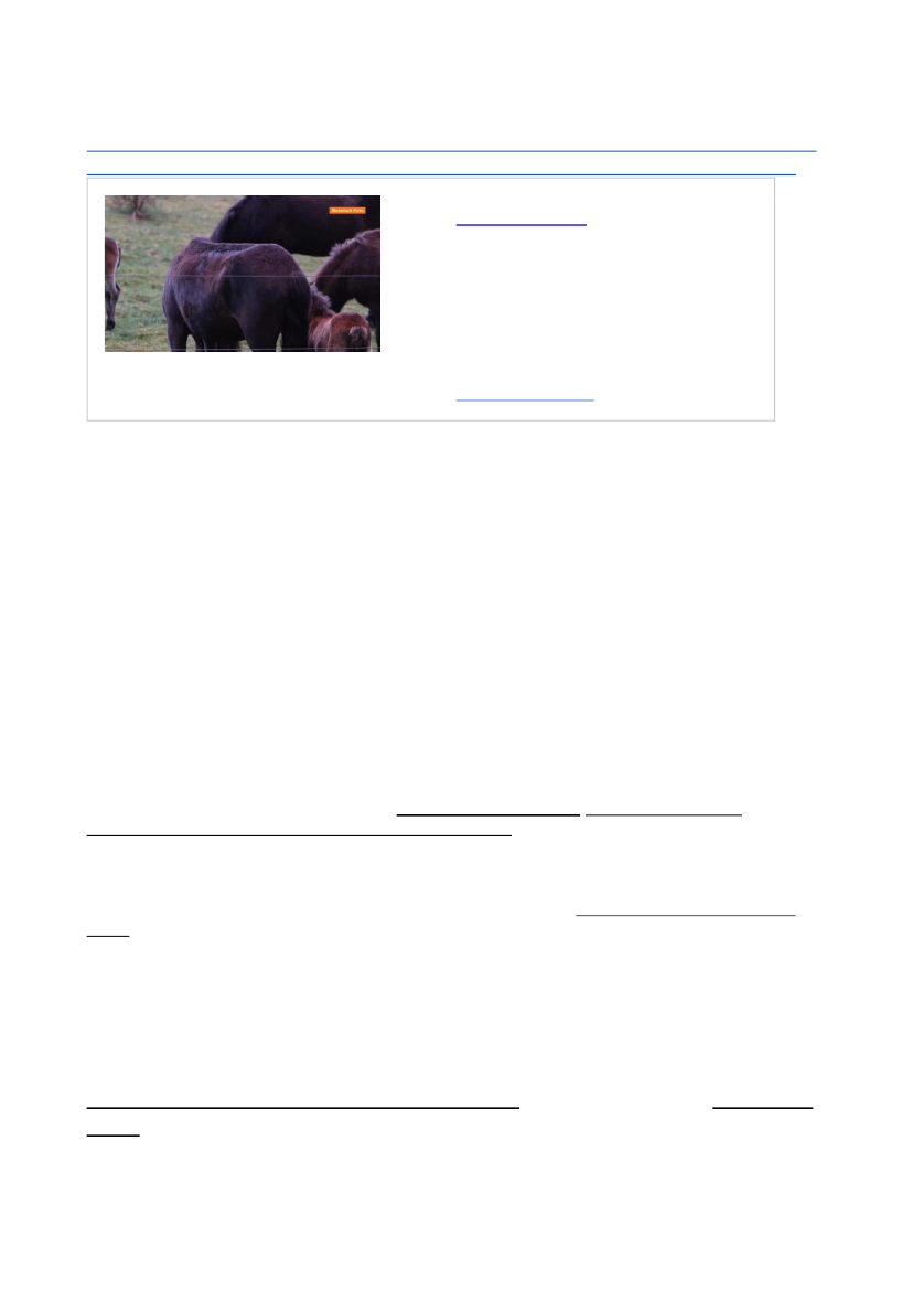 2592568_0006.png