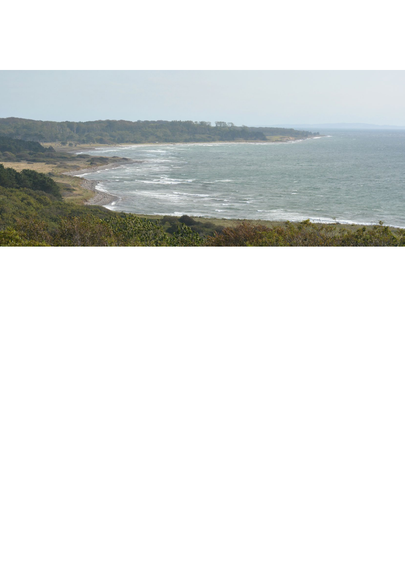 2595354_0029.png