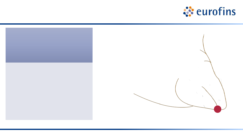2597279_0007.png