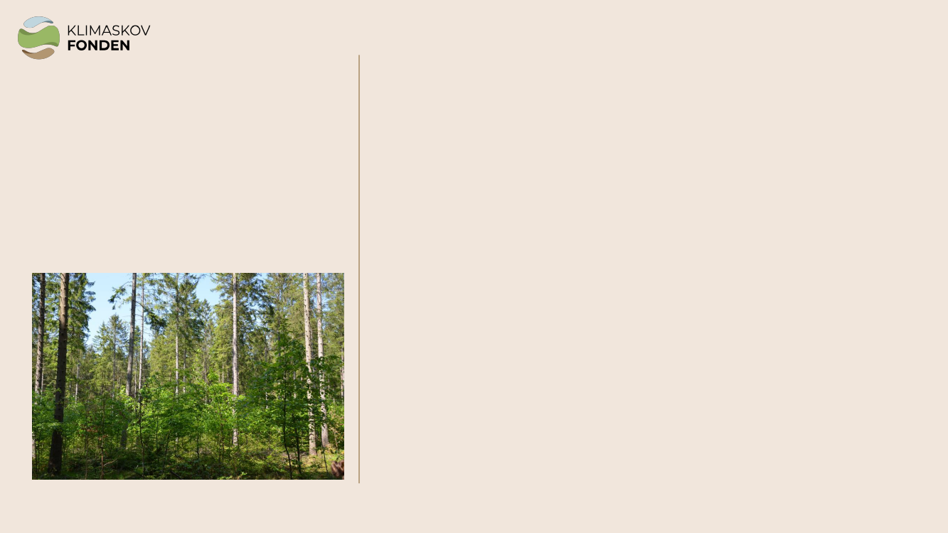 2598425_0006.png