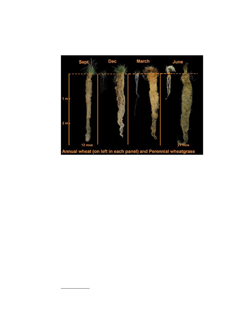 2602721_0030.png